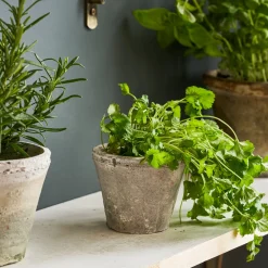 Aged Stone Terracotta Pot
