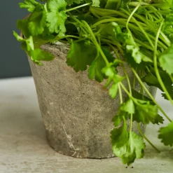 Aged Stone Terracotta Pot