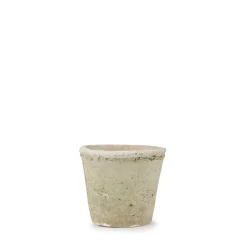Aged Stone Terracotta Pot