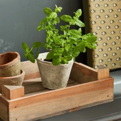 Aged Stone Terracotta Pot