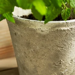 Aged Stone Terracotta Pot