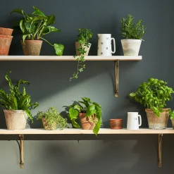 Aged Terracotta Pot