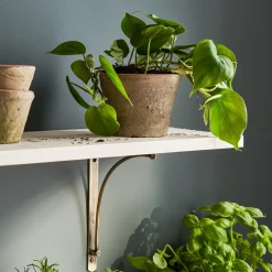 Aged Terracotta Pot