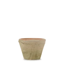 Aged Terracotta Pot
