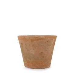 Aged Terracotta Pot