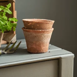 Aged Terracotta Pot