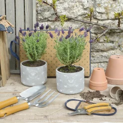 Bees Garden Tool Set