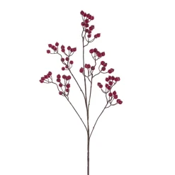Berry Spray