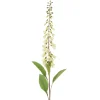 Country Foxglove Stem