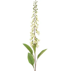 Country Foxglove Stem