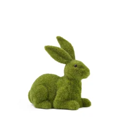 Crawling Rabbit