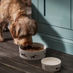 Doggy Daycare Stoneware Dog Bowl