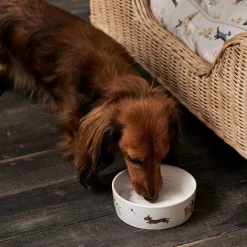 Doggy Daycare Stoneware Dog Bowl