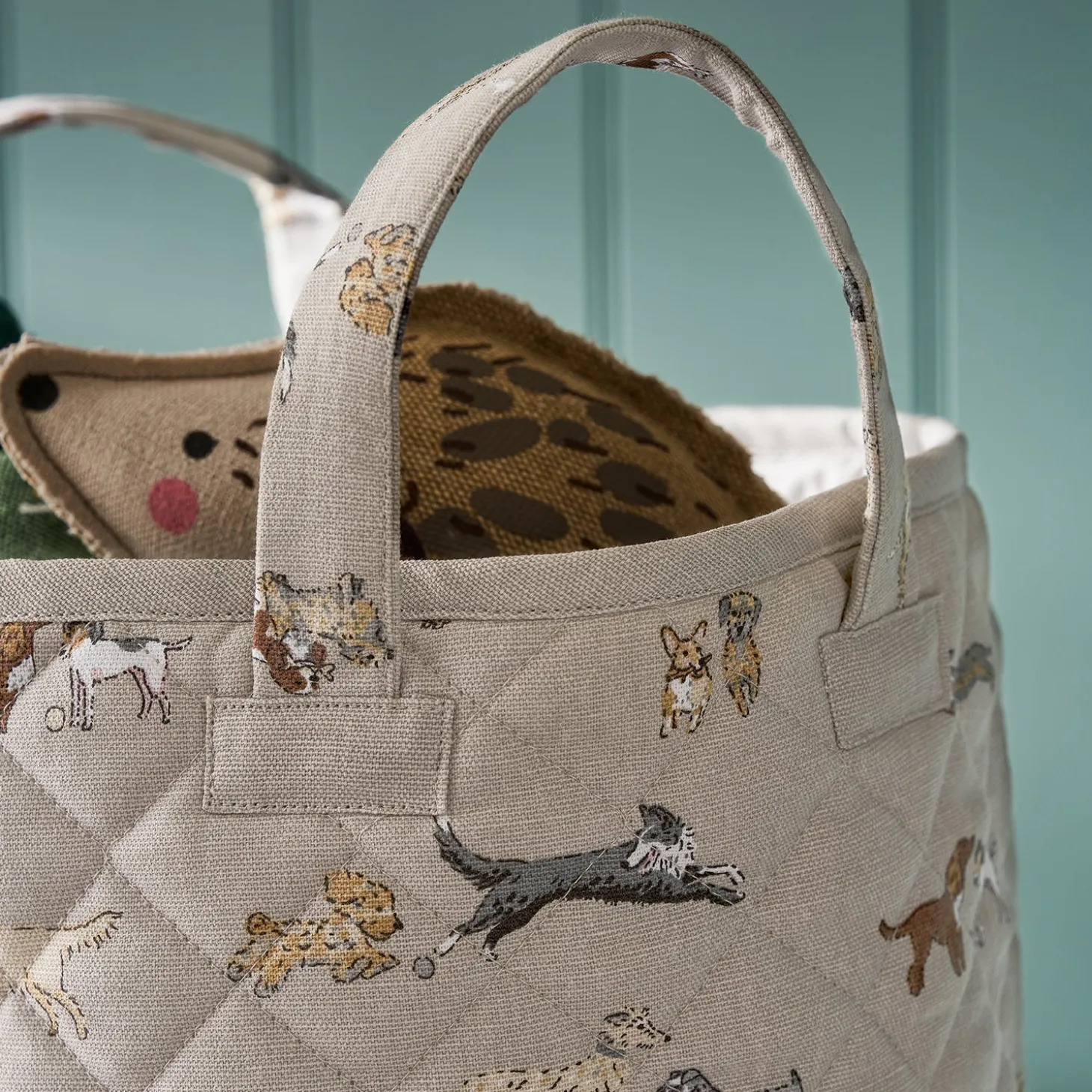 Doggy Daycare Storage Basket