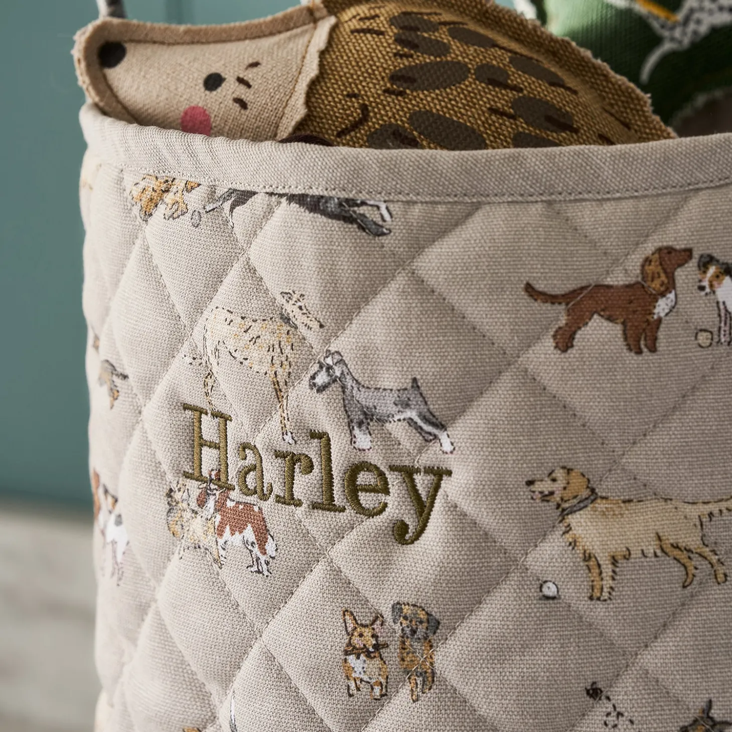 Doggy Daycare Storage Basket