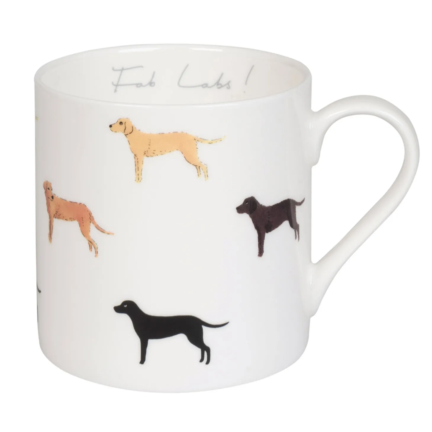 Fab Labs Mug