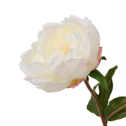 Faux Classic White Peony