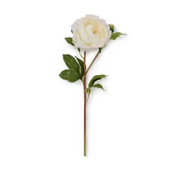 Faux Classic White Peony