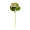 Faux Dried Green Hydrangea