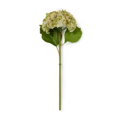 Faux Dried Green Hydrangea