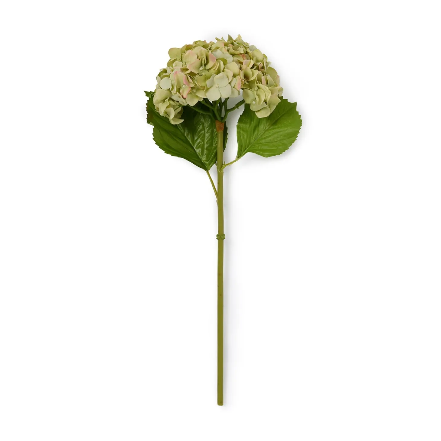 Faux Dried Green Hydrangea