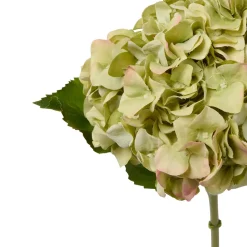 Faux Dried Green Hydrangea