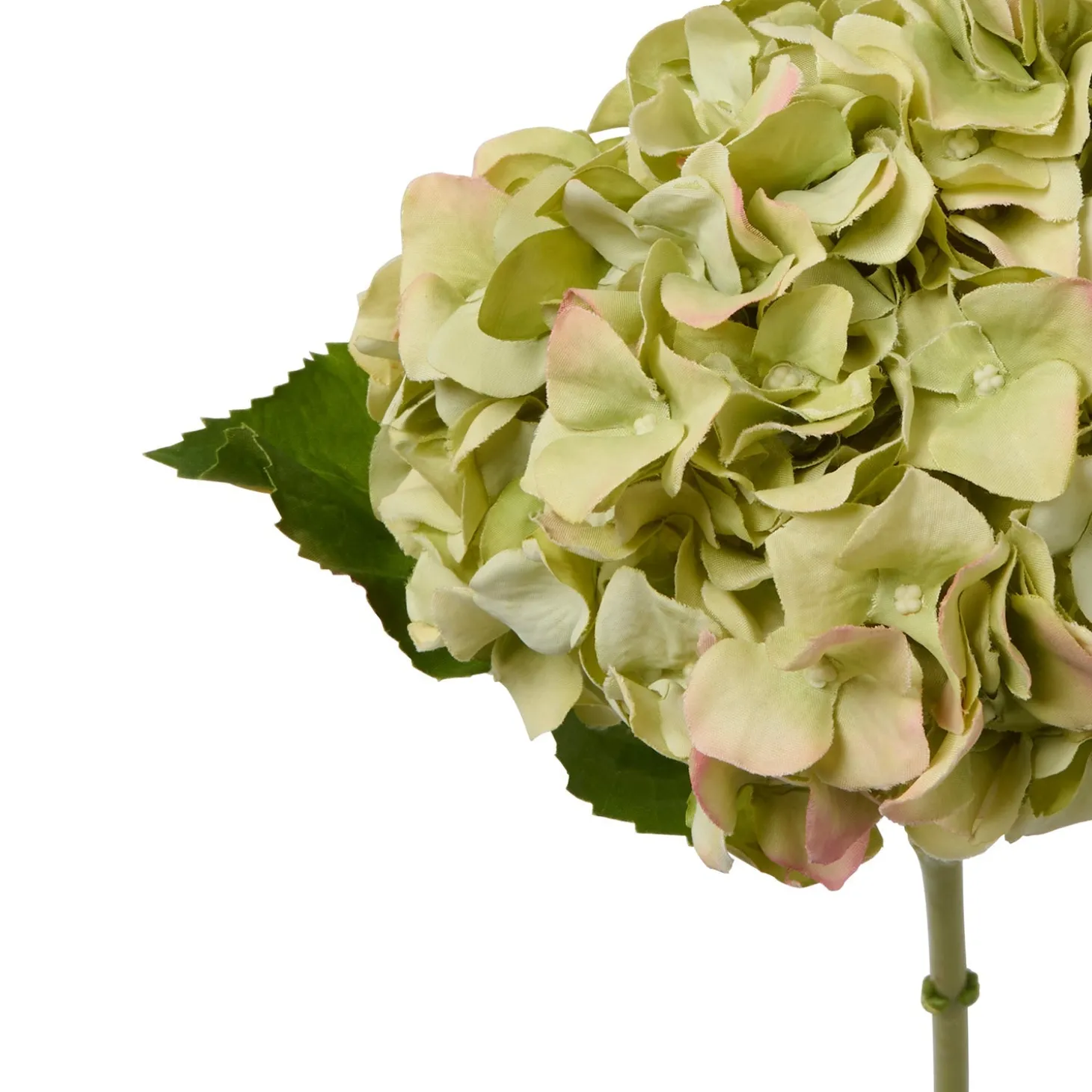 Faux Dried Green Hydrangea