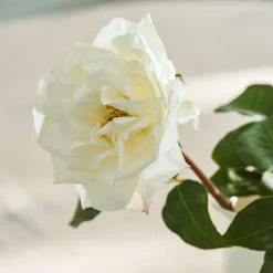Faux Garden Rose - White