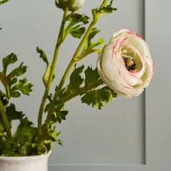 Faux Green Ranunculus