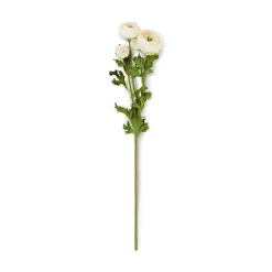 Faux Green Ranunculus