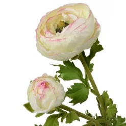 Faux Green Ranunculus