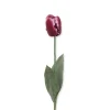 Faux Parrot Tulip - Purple