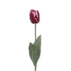 Faux Parrot Tulip - Purple