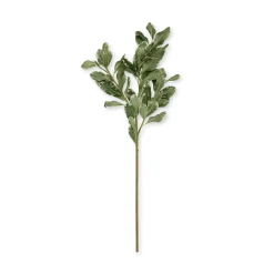 Faux Pittosporum Leaves - Green
