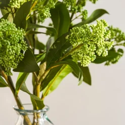 Faux Skimmia - Green
