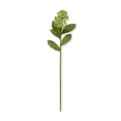 Faux Skimmia - Green