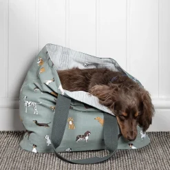 Fetch Everyday Bag