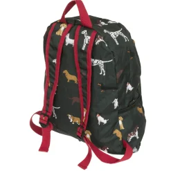 Fetch Folding Rucksack
