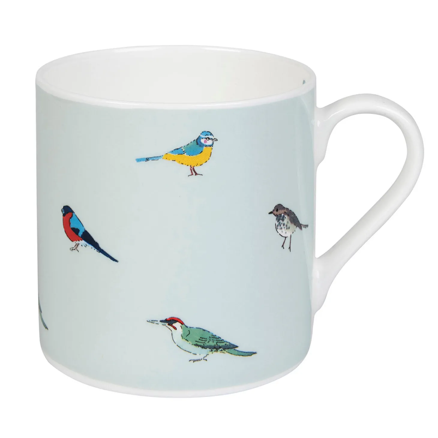 Garden Birds Coloured Mug