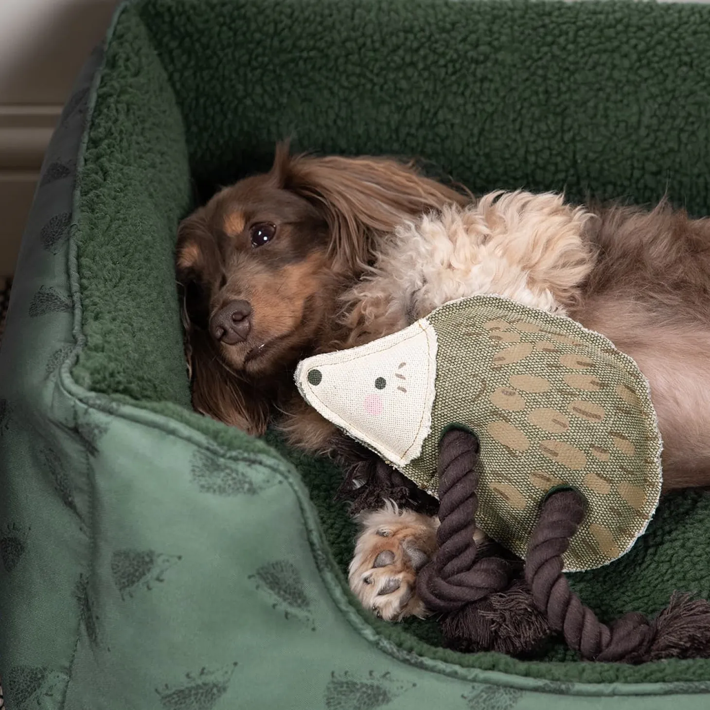 Hedgehogs Dog Toy