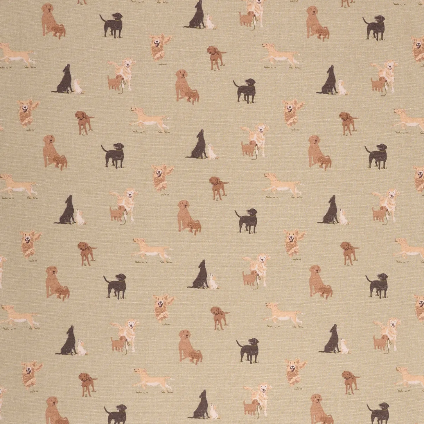 Labradors & Retrievers Fabric By The Metre