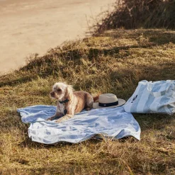 Lobster Towels