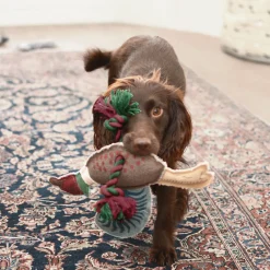 Pheasant Dog Toy