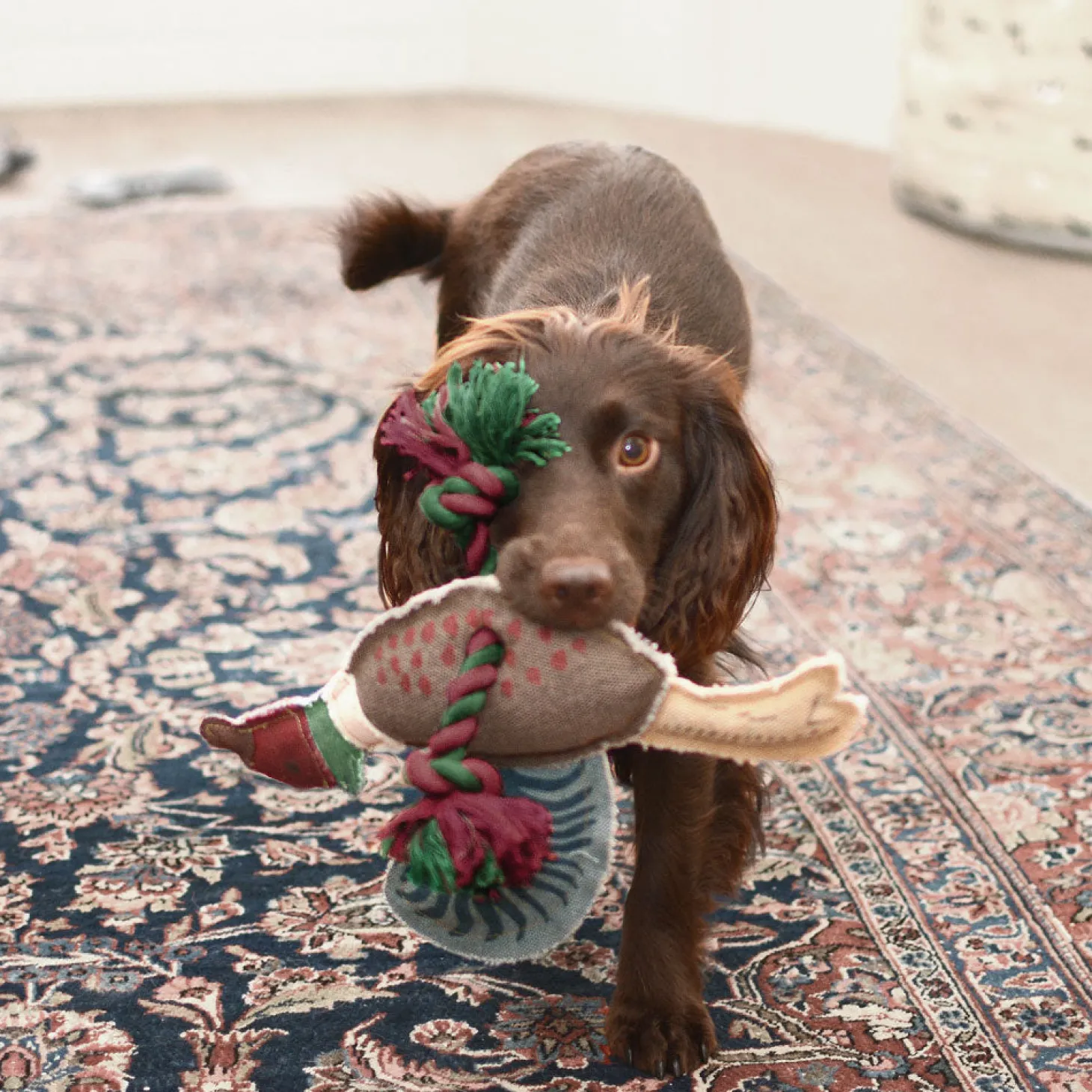 Pheasant Dog Toy