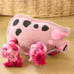 Pig Dog Toy