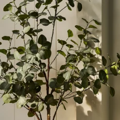Pre-lit Eucalyptus Tree