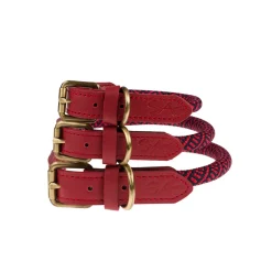Red Rope Collar