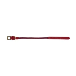Red Rope Collar