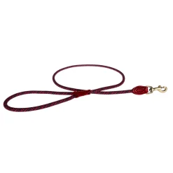 Red Rope Lead