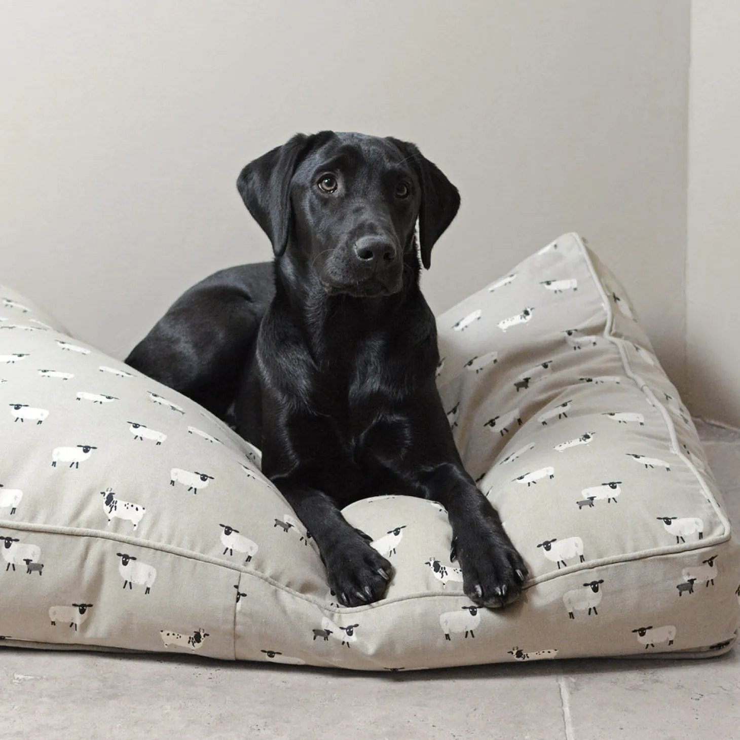 Sheep Pet Mattress
